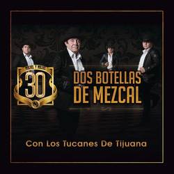 Portada de Dos Botellas De Mezcal
