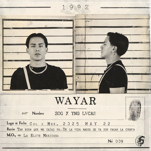 Portada de Wayar