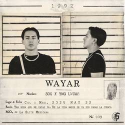 Portada de Wayar