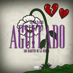 Portada de AGÜITADO