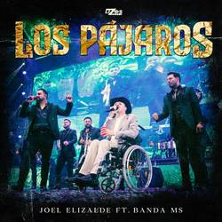 Portada de Los Pájaros