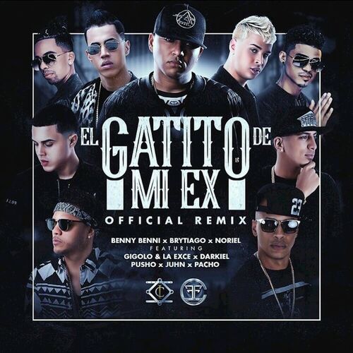 Portada de El Gatito de Mi Ex (Remix)