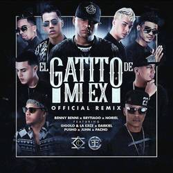 Portada de El Gatito de Mi Ex (Remix)