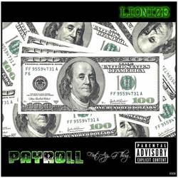 Portada de Payroll