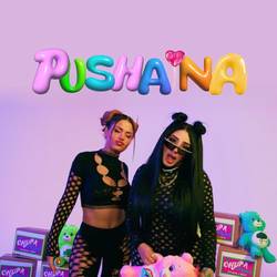 Portada de PUSHAINA