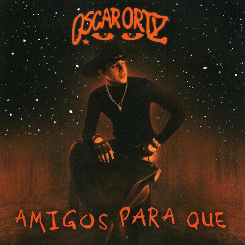Portada de AMIGOS PARA QUÉ