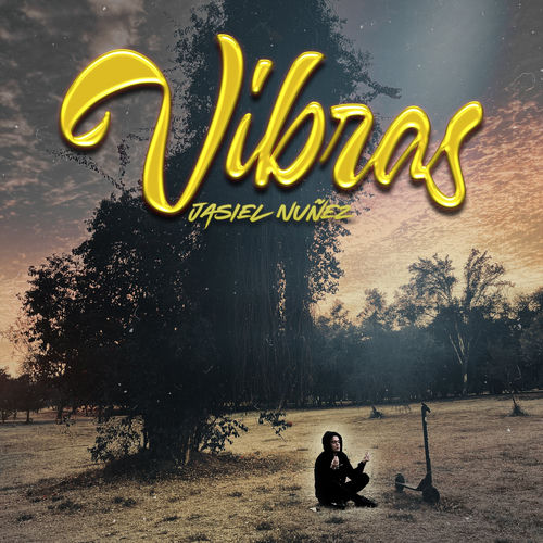 Portada de Vibras