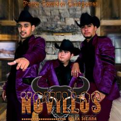 Portada de Puros Corridos Chingones
