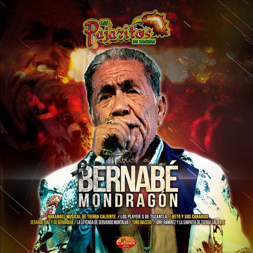 Portada de Tributo a Bernabé Mondragón