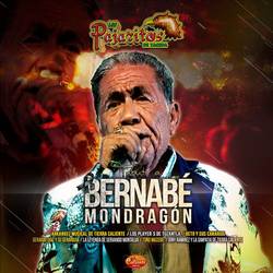 Portada de Tributo a Bernabé Mondragón