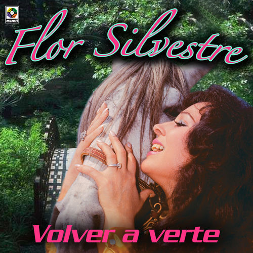 Portada de Volver A Verte