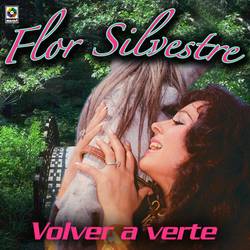 Portada de Volver A Verte