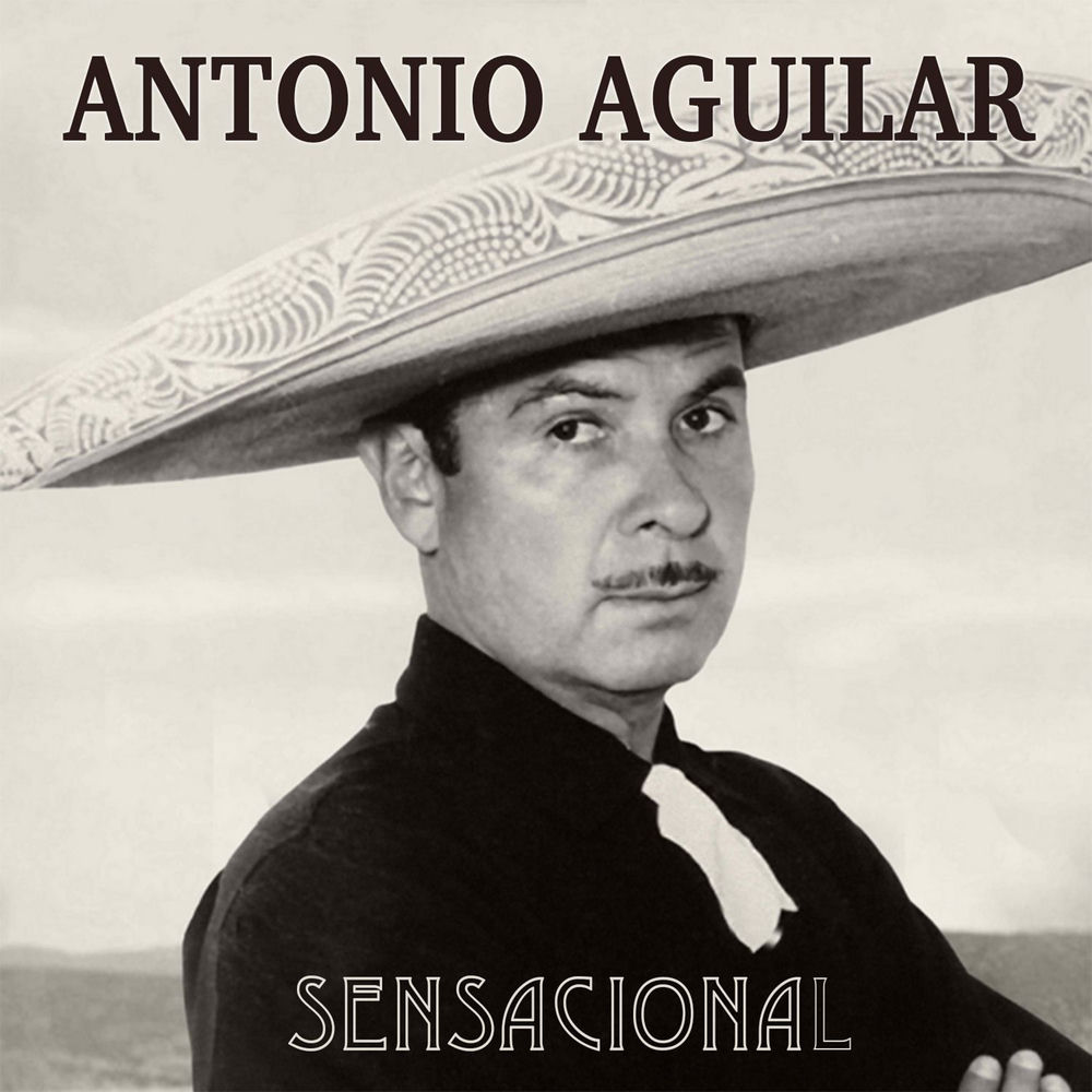 Portada de Un Puño De Tierra
