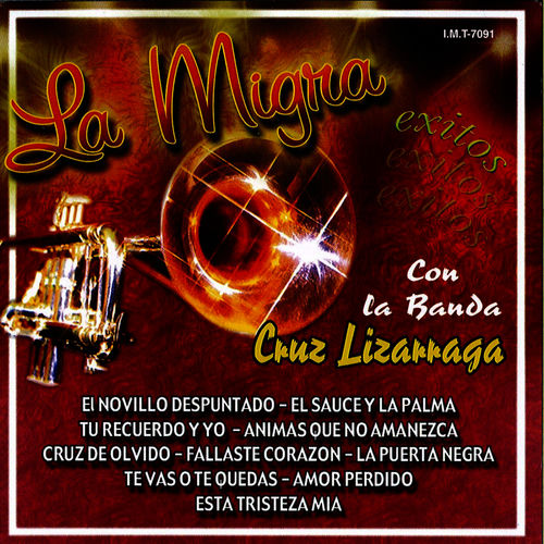 Portada de Exitos Con Banda