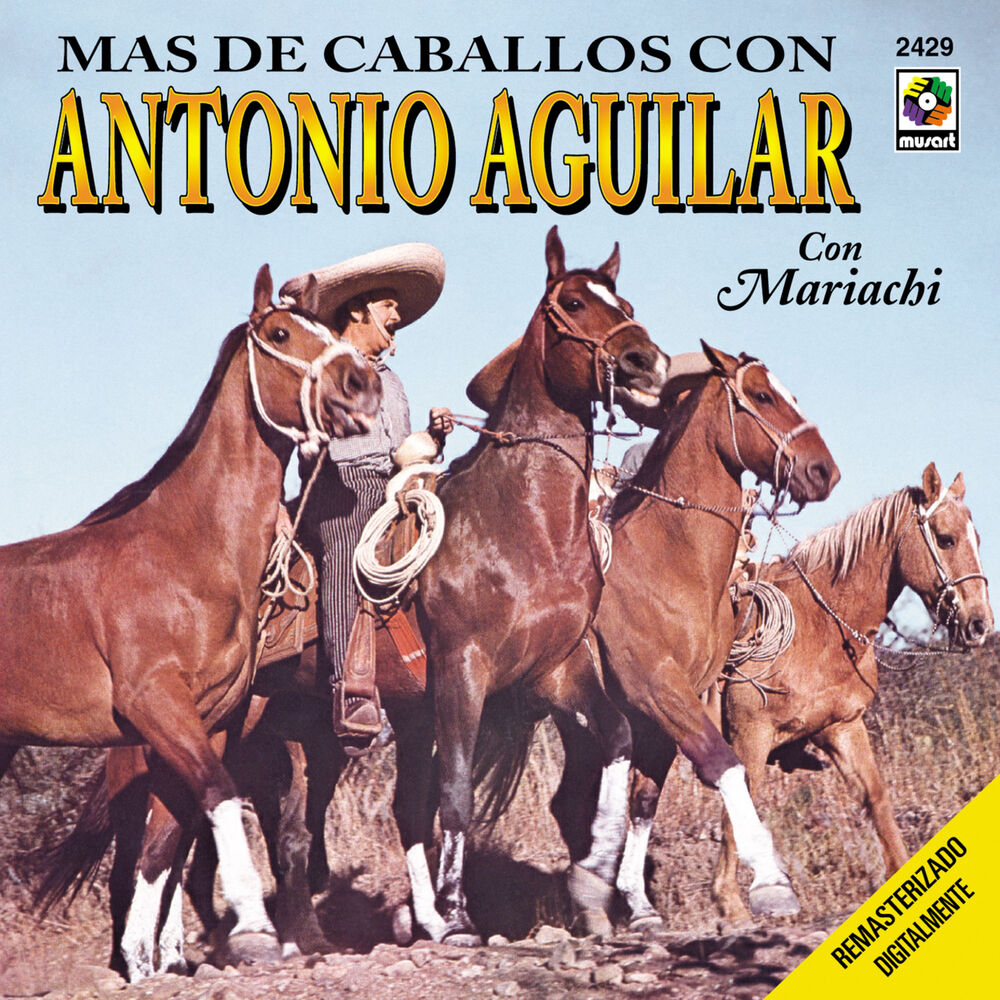 Portada de El Lucero y la Dama