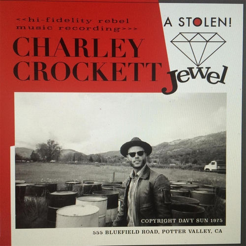 Portada de A Stolen Jewel