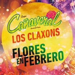 Portada de Flores En Febrero (Desde El Auditorio Nacional)