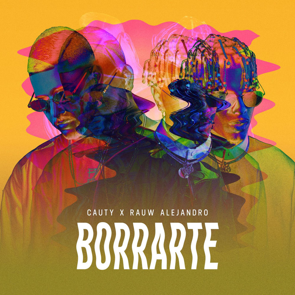Portada de Borrarte