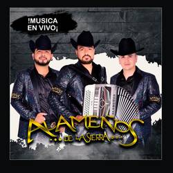 Portada de FORJANDO UN GALLO