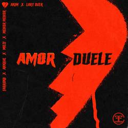 Portada de Amor Duele (Remix)