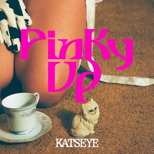 Portada de PINKY UP
