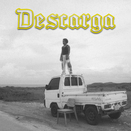 Portada de Descarga
