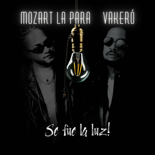 Portada de SE FUE LA LUZ