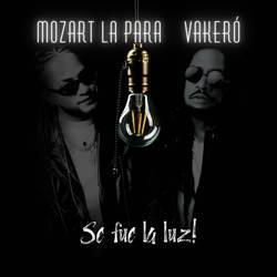 Portada de SE FUE LA LUZ