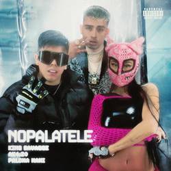 Portada de NOPALATELE