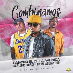 Portada de Combinamos
