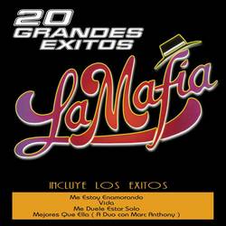 Portada de 20 Grandes Exitos