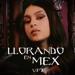 Portada de Llorando en Mex