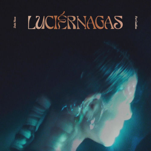 Portada de Luciérnagas
