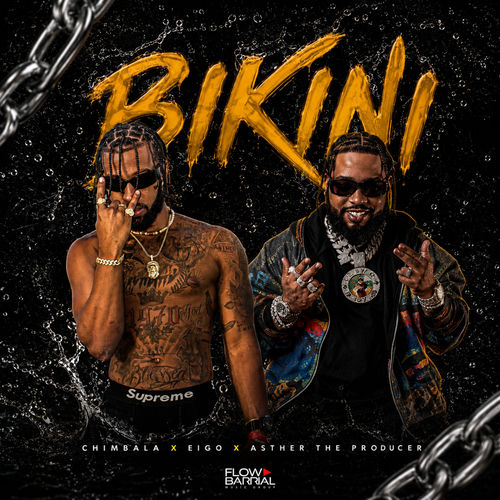 Portada de Bikini