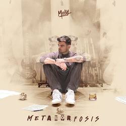 Portada de Metamorfosis