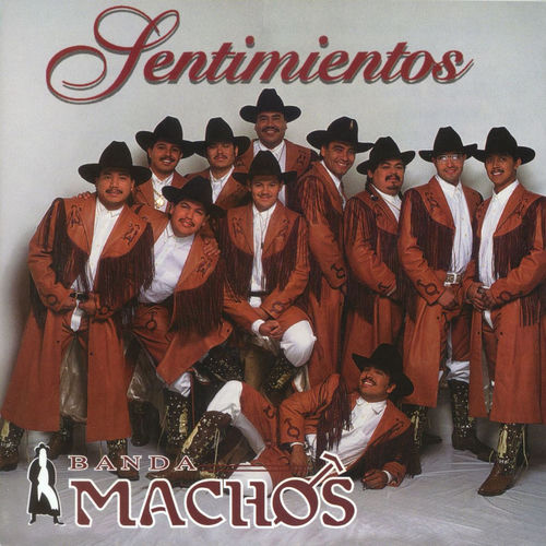 Portada de Sentimientos