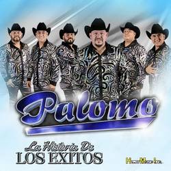 Portada de La Historia de Los Exitos