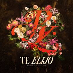 Portada de Te Elijo