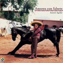 Portada de Amores Con Falsete