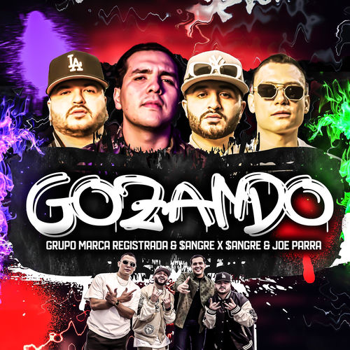 Portada de GOZANDO