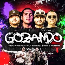 Portada de GOZANDO