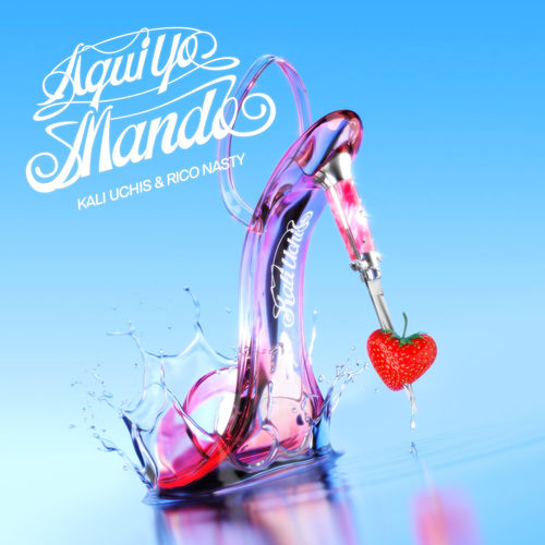 Portada de ¡aquí yo mando!