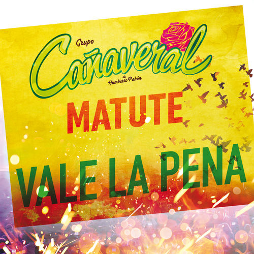 Portada de Vale La Pena (Desde El Auditorio Nacional)