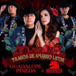 Portada de Tragos de Amargo Licor