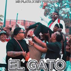 Portada de El Gato