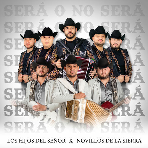 Portada de Sera O No Sera