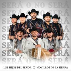 Portada de Sera O No Sera