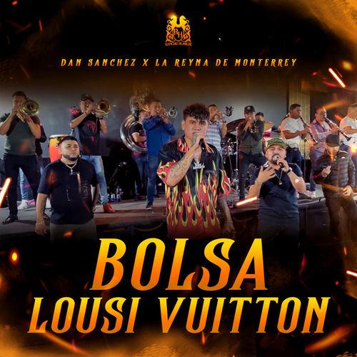 Portada de Bolsa Louis Vuitton