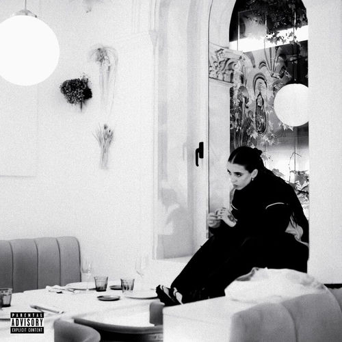 Portada de Do Not Disturb