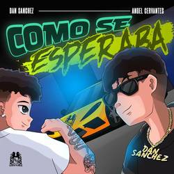 Portada de Como Se Esperaba